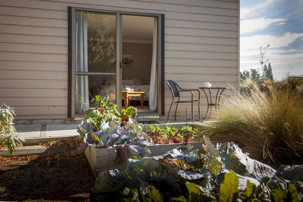 Trout 'N' Trail B&B Ranfurly Rom bilde